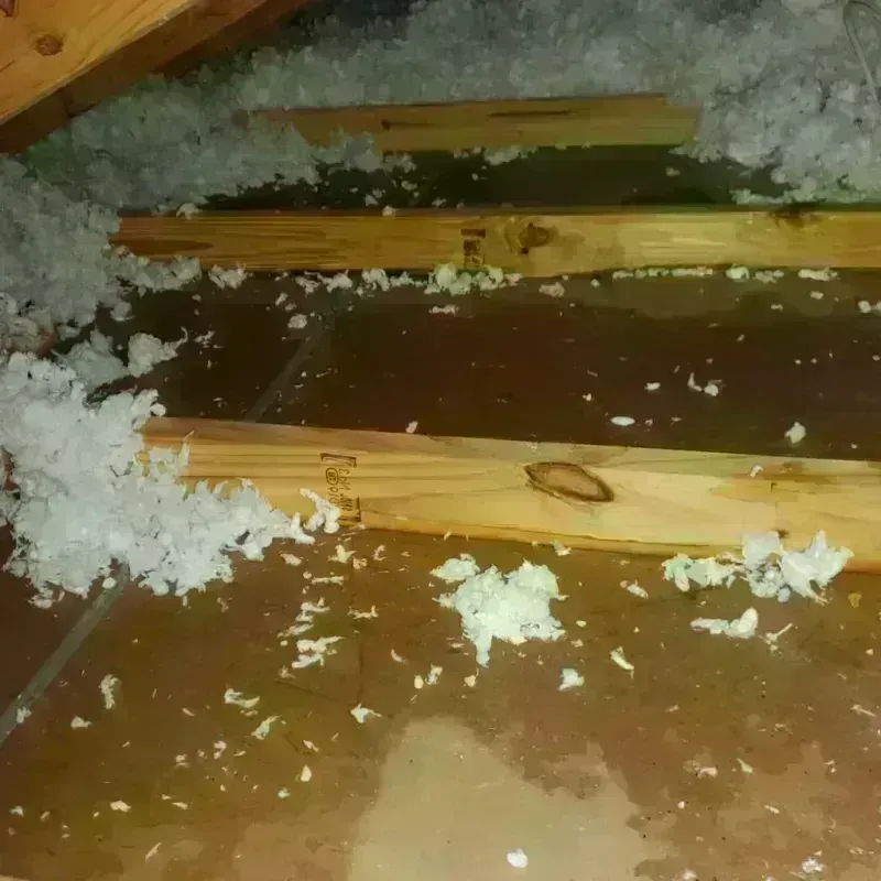 Attic Water Damage in Delaware County, OH