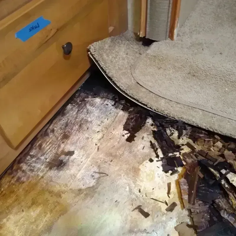 Wood Floor Water Damage in Delaware County, OH